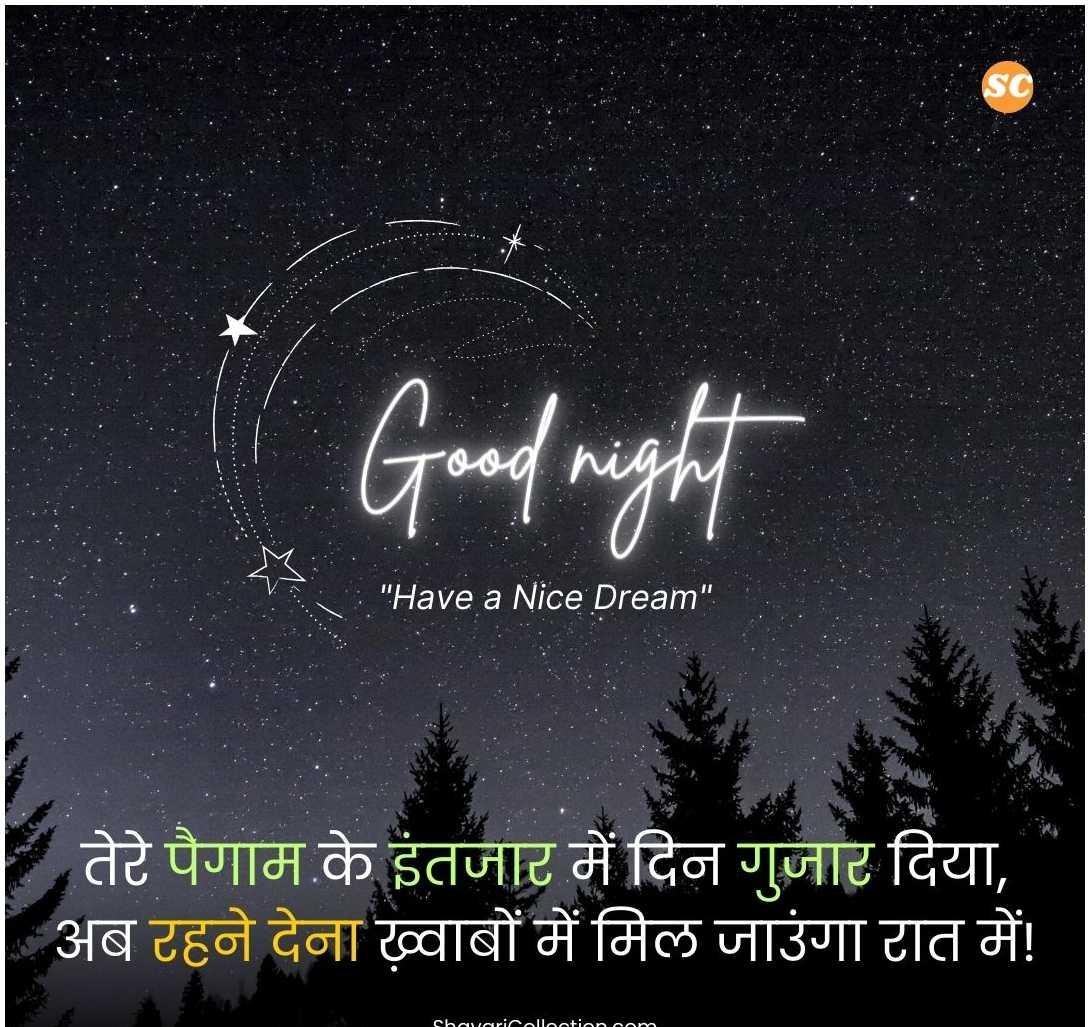 Good Night Shayari In Hindi (11)