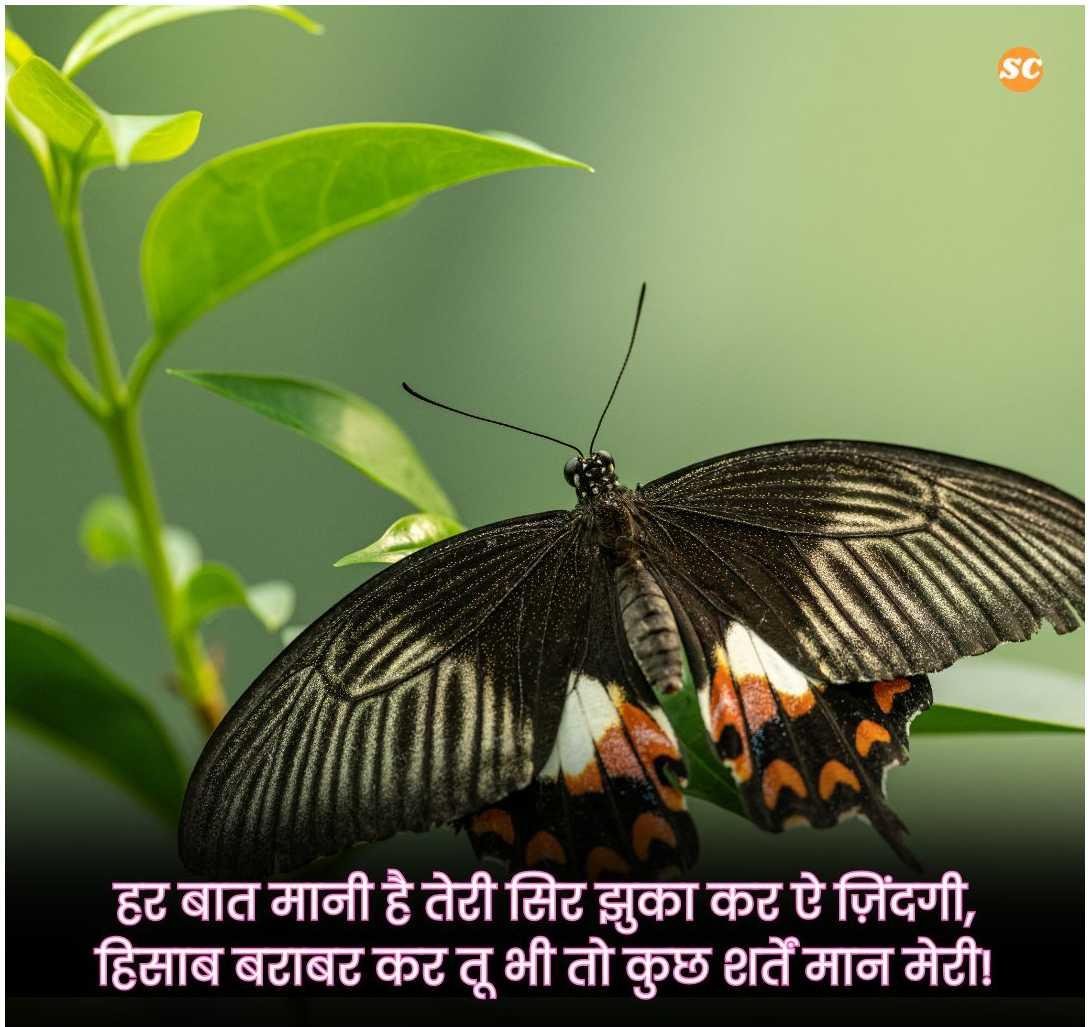 Life Quotes In Hindi (14)