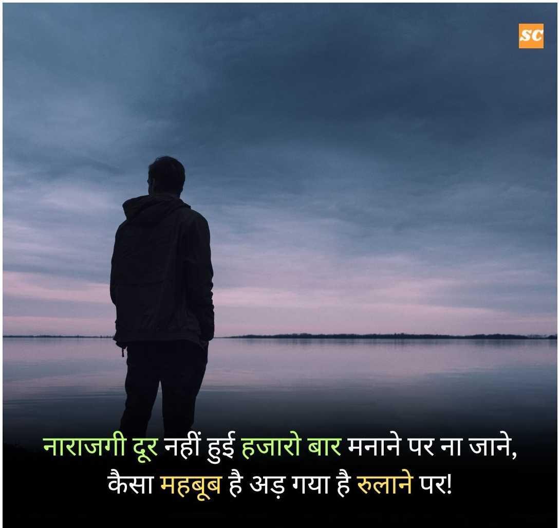 Love Status in Hindi (15)