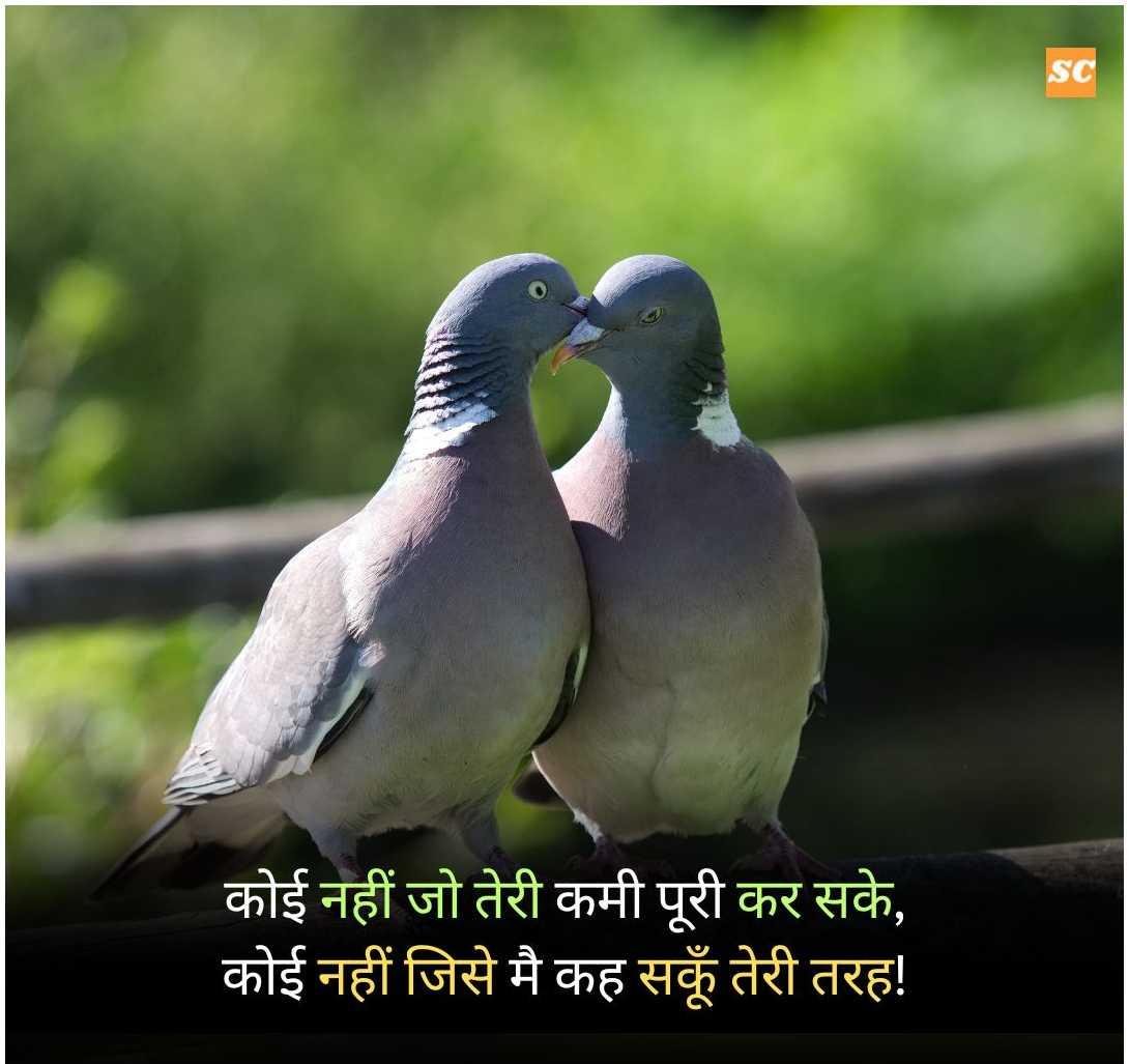 Love Status in Hindi (2)