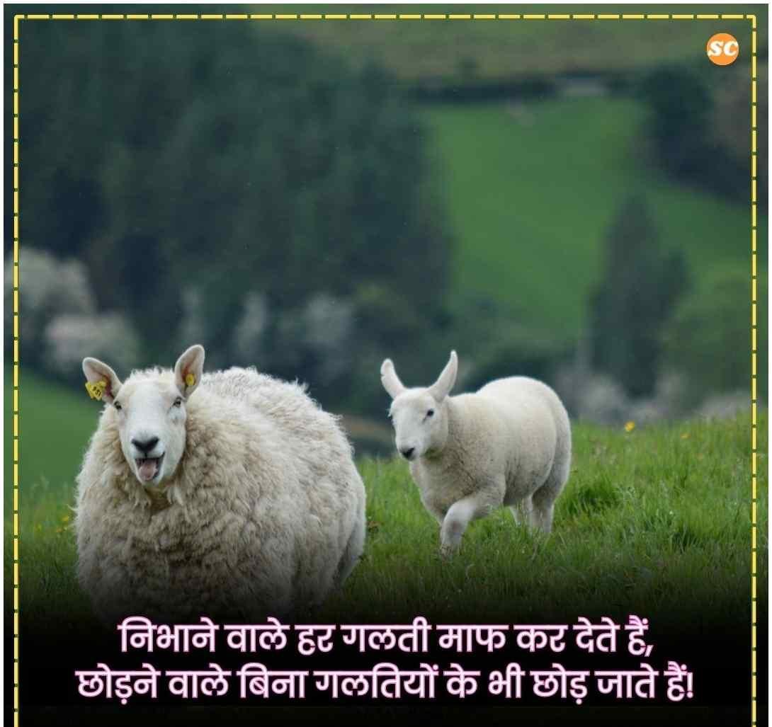 Reality Life Quotes In Hindi बेस्ट रियलिटी लाइफ कोट्स (2)