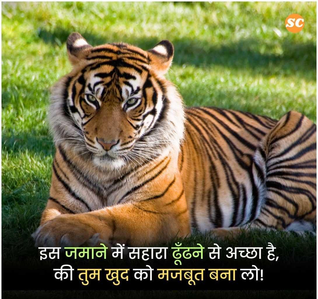 Success Motivational Shayari In Hindi (2)