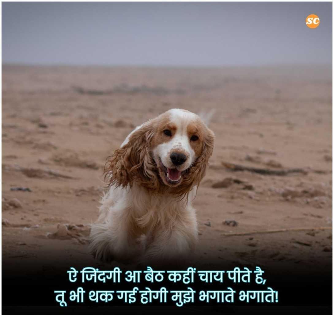 Zindagi Shayari In Hindi जिंदगी शायरी हिंदी में