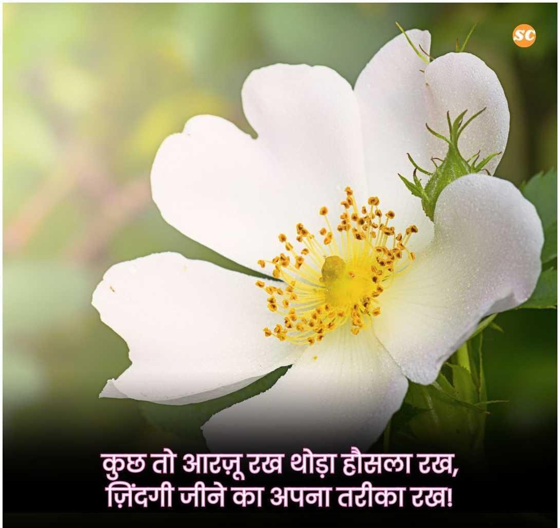 Zindagi Shayari In Hindi जिंदगी शायरी हिंदी में
