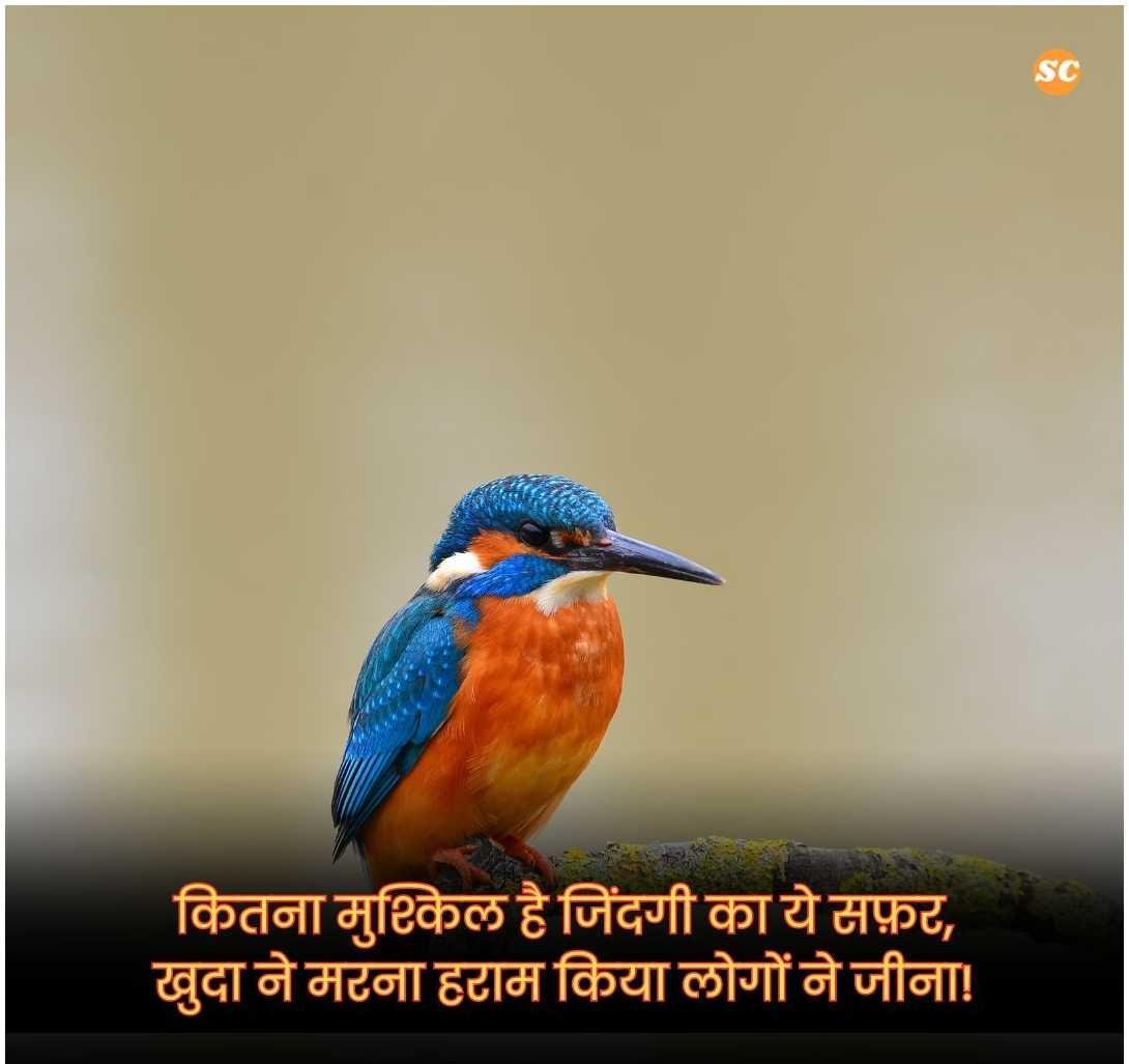 Zindagi Shayari In Hindi जिंदगी शायरी हिंदी में