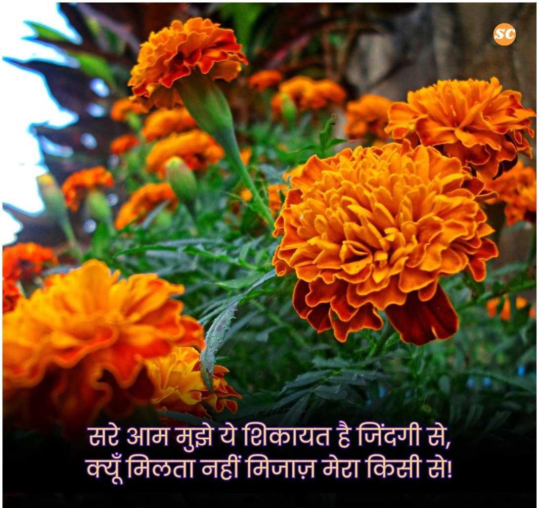 Zindagi Shayari In Hindi जिंदगी शायरी हिंदी में