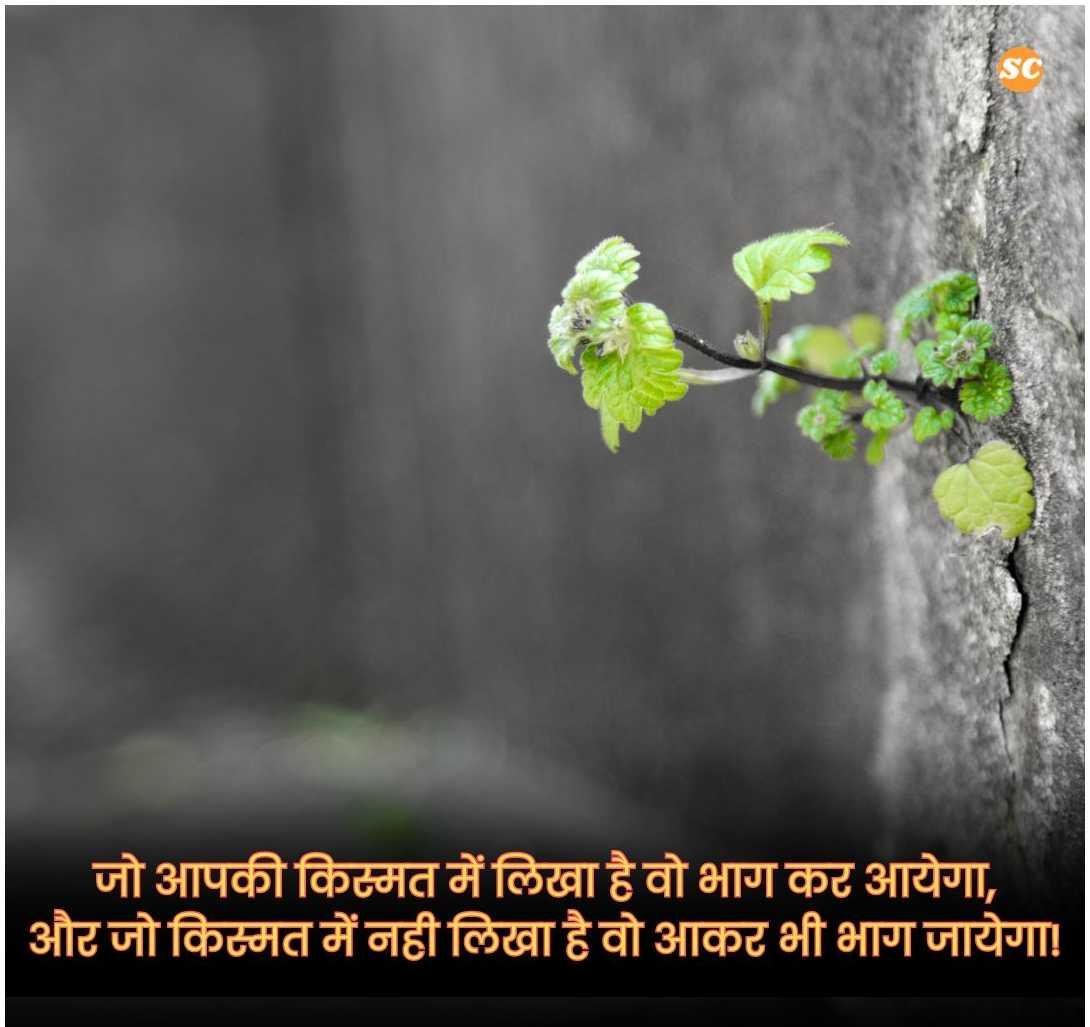 Zindagi Shayari In Hindi जिंदगी शायरी हिंदी में