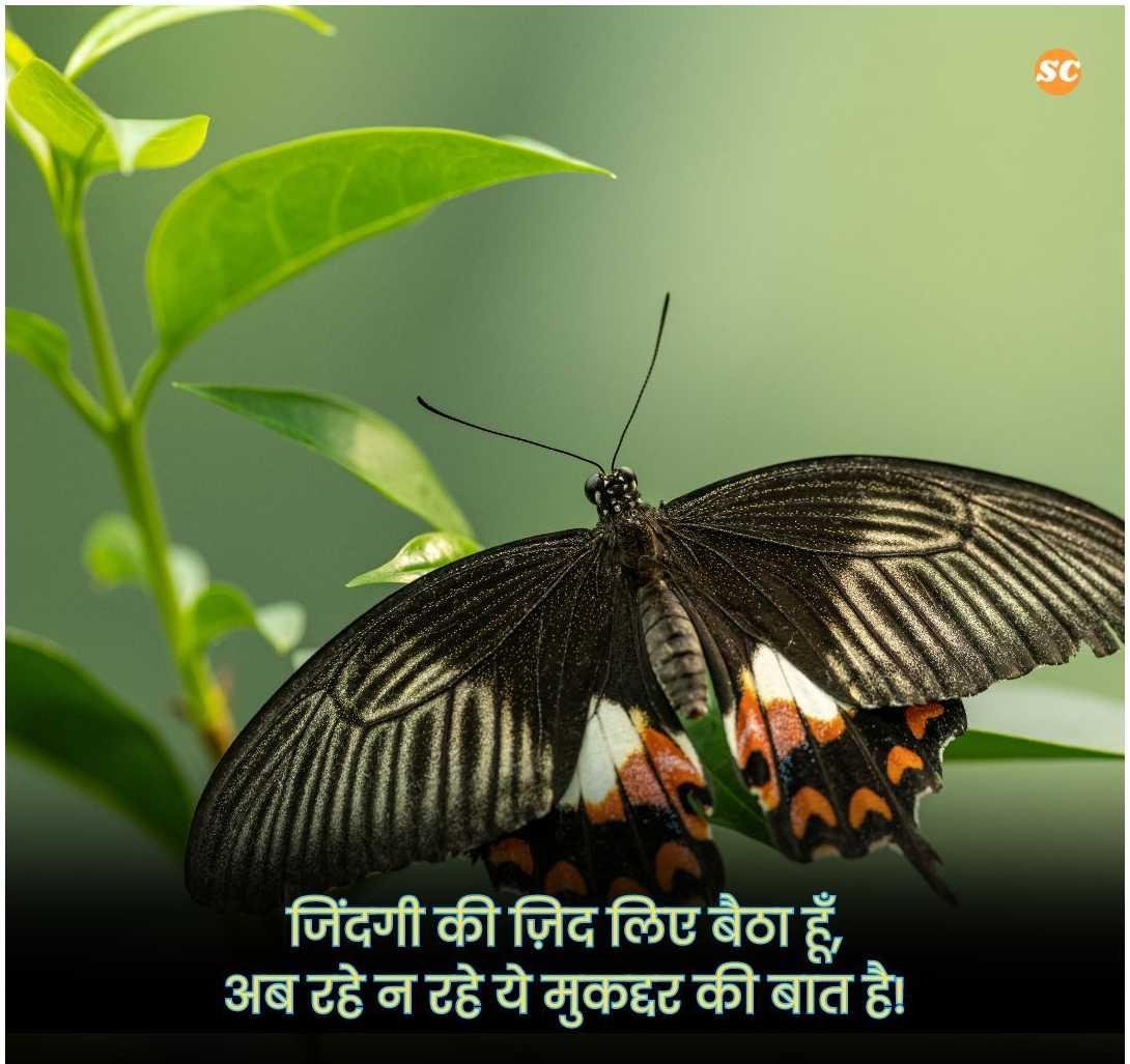 Zindagi Shayari In Hindi जिंदगी शायरी हिंदी में